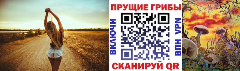 Галлюциногенные грибы GOLDEN TEACHER  Пестово 
